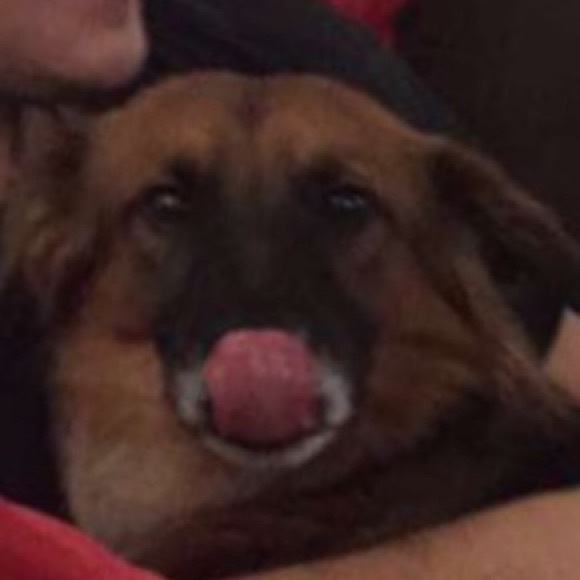 Meet your Posher, Connor - Picture 1 of 1